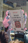 stop mad cowboy disease