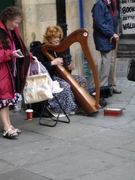 street harpist