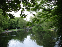 the pond in st. stephen's green