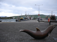 a statue of fungie the dolphin
