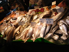 mercat_fish1.jpg