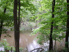 the north branch of the chicago river along the forest preservation district of cook county trail