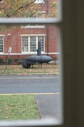 a minisub in the navy yard