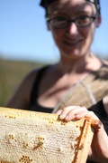 nicole with a couple pounds of honey in situ