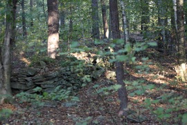 a wall in the woods near the camp