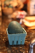 an emu egg