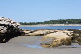 looking back to shore from the island at popham