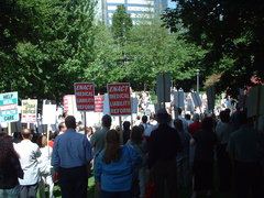 doctors protesting downtown