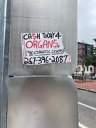 organs.jpg