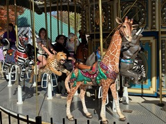 carousel.jpg